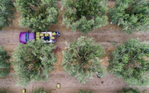 Κομισιόν: Ενίσχυση 41 εκατ. ευρώ στους Έλληνες αγρότες λόγω αυξήσεων στα λιπάσματα