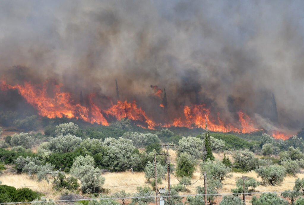 Πύρινα μέτωπα σε Βοιωτία, Αργολίδα – Μάχη με τις αναζωπυρώσεις σε Κρήτη