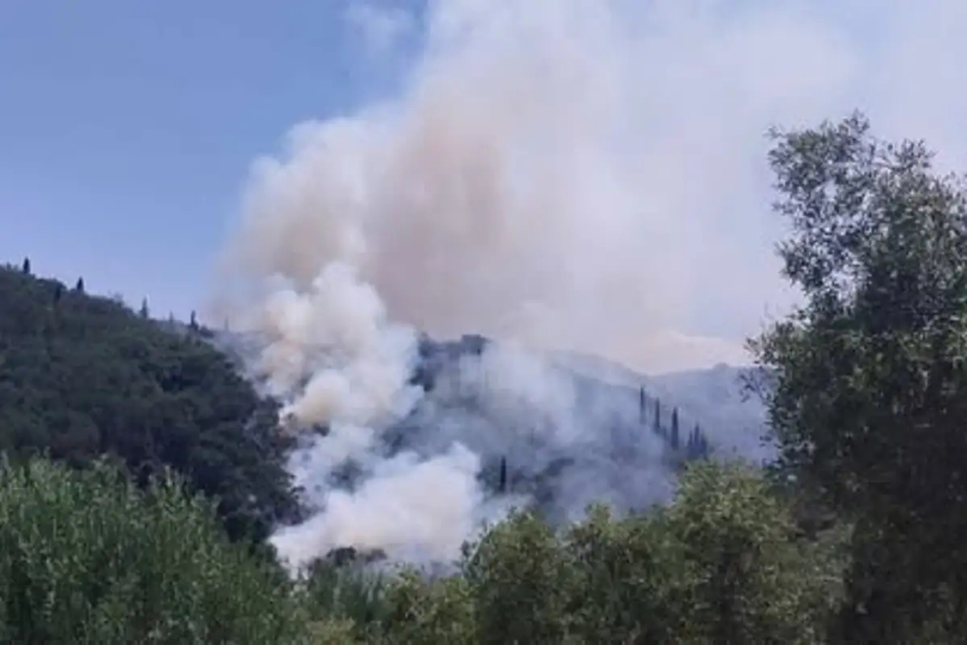 Εικόνα από τη φωτιά στην Κέρκυρα σε πλαγιά λόφου.