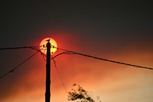 Ολονύκτια μάχη με τις φλόγες σε Αττική, Βοιωτία, Φωκίδα – Νέο μέτωπο στην Κεφαλονιά