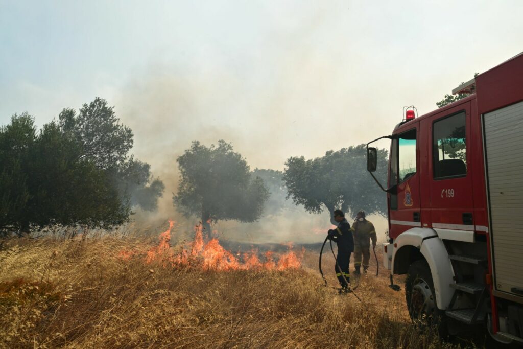 Φωτιές σε όλη την Ελλάδα: Οι φλόγες πλησιάζουν Βίλια και Μέγαρα, δύσκολο το μέτωπο της Κεφαλονιάς