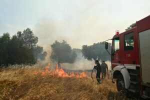 Φωτιές σε όλη την Ελλάδα: Οι φλόγες πλησιάζουν Βίλια και Μέγαρα, δύσκολο το μέτωπο της Κεφαλονιάς