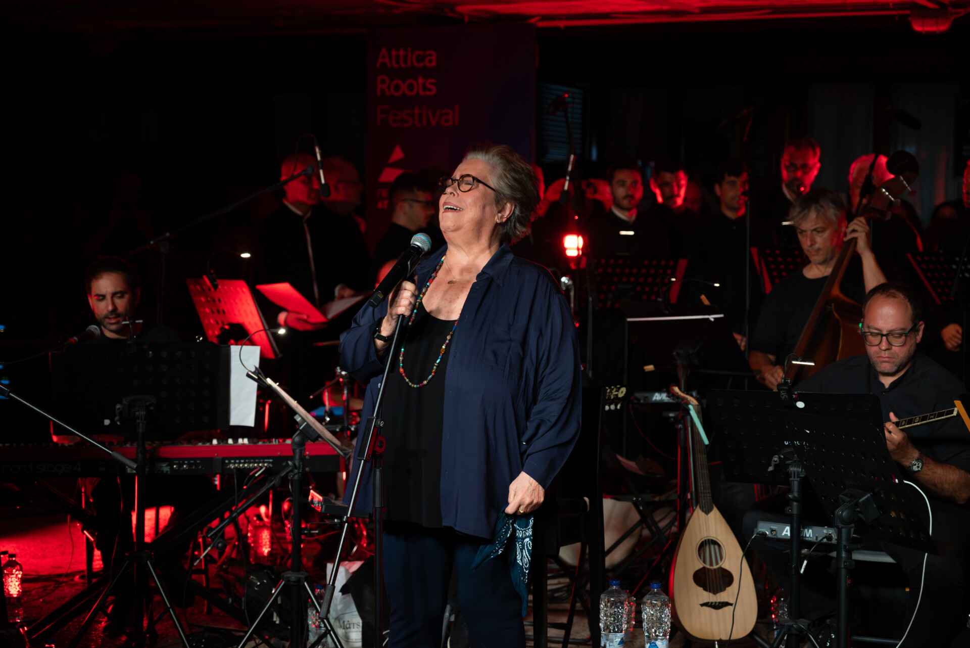 Η Δήμητρα Γαλάνη στο Ναό του Ποσειδώνα © Roots Festival