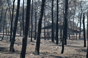 Καμένα στη Δυτική Αττική: Ξεκινούν πριν από τις 15/9 τα αντιπλημμυρικά των 1,5 δισ.