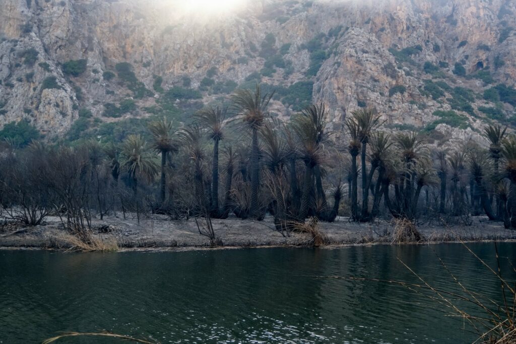 Φωτιά στο Ρέθυμνο: Βελτιωμένη εικόνα, χωρίς εναέρια μέσα η μάχη με τις αναζωπυρώσεις εξαιτίας των ανέμων