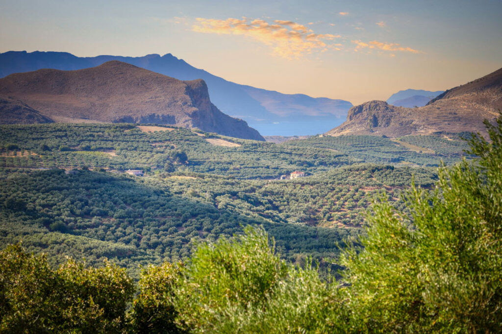 Πρόγραμμα εκμίσθωσης αγροτικών ακινήτων από την ΕΤΑΔ